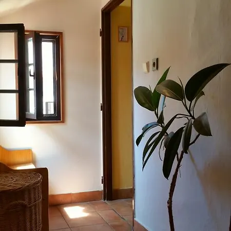 Hostel Merlin *